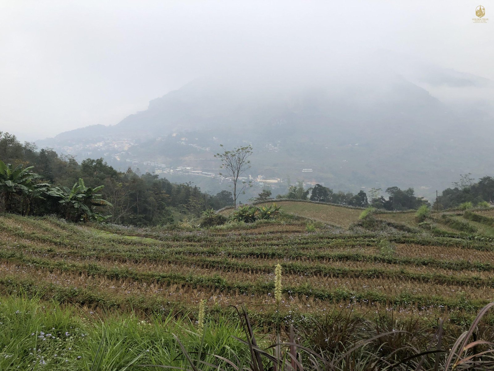 Conquer the Majestic North: The Ultimate Guide to Mountain Biking Ha Giang Loop